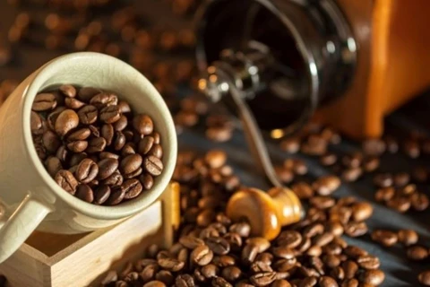 Au premier trimestre dernier, le Vietnam a exporté près de 600.000 tonnes de café pour un chiffre d'affaires d'environ 1,9 milliard de dollars. Photo : nhandan.vn