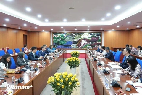 Le vice-ministre des Finances Vo Thanh Hung a eu une séance de travail avec Paulo Medas, chef de l'équipe de consultation de l'article IV du FMI à Hanoï le 26 juin. (Photo : BTC/VietnamPlus)