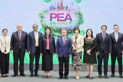 La BAD soutient l'opérateur public thaïlandais, l'Autorité provinciale de l'électricité (PEA), dans l'émission de sa première obligation durable. (Photo : www.adb.org)