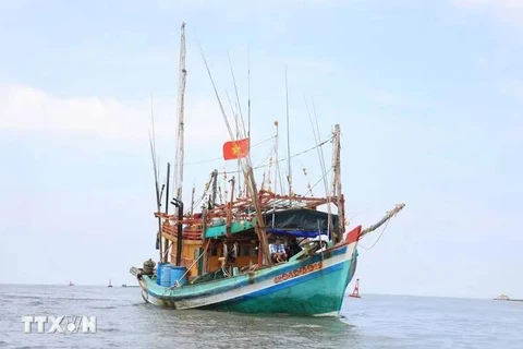 En sept ans de lutte contre la pêche INN, les organes compétents ont déployé des efforts importants. Photo : VNA