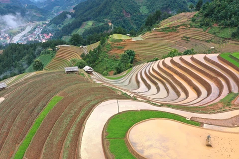 Terrazas de arroz en temporada de lluvia en Mu Cang Chai