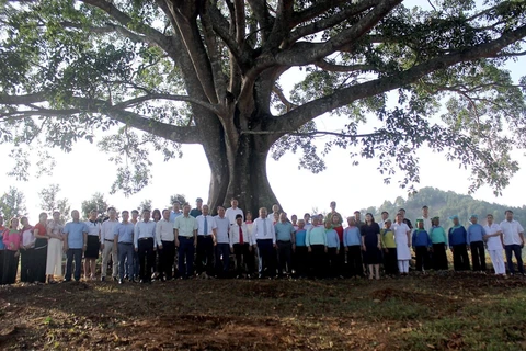 El árbol patrimonial se encuentra en la comuna de Then Sin, distrito de Tam Duong. (Foto: baolaichau.vn)