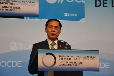 Le ministre vietnamien des Affaires étrangères Bui Thanh Son à la réunion du Conseil de l'OCDE 2024. Photo : VNA