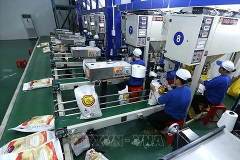 La chaine de conditionnement de riz pour l’exportation à l’usine de la société par actions de l'agriculture high-tech Trung An à Can Tho. Photo d'archives : VNA