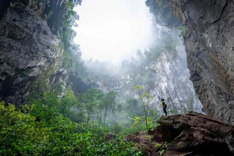 Le deuxième gouffre de Son Doong est également connu sous le nom de Jardin d'Edam. Photo : Oxalis