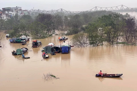 Red River flood levels surpass alert level 2, threatening vulnerable dikes in Hanoi