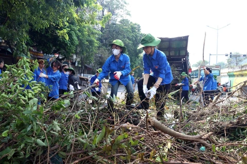 Hanoi launches citywide environmental cleanup campaign after typhoon