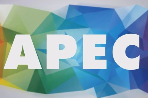 Vietnam affirms active, responsible role in APEC