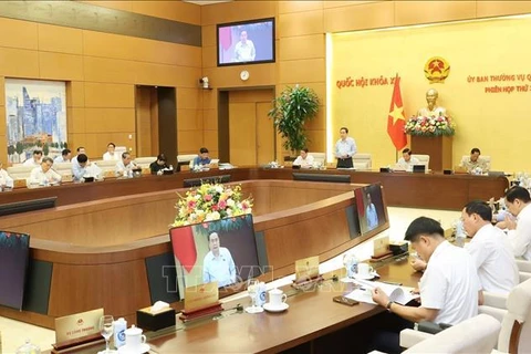 An overview of the 33rd session (Photo: VNA)