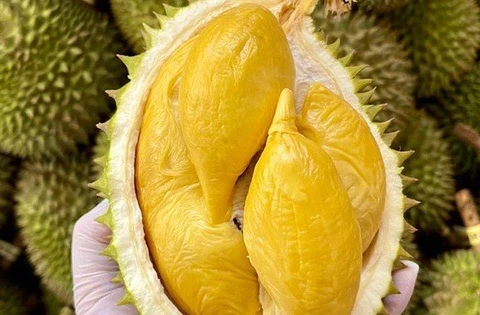 Vietnam earns more than 1.3 billion USD from shipping durian abroad in the first six months of 2024 (Photo: baocongthuong.vn)