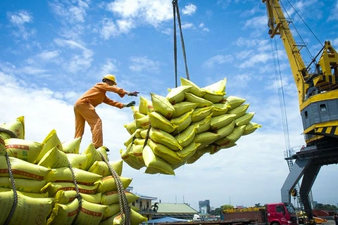 Rice is Vietnam's key export product to the Philippines (Photo: vneconomy.vn)