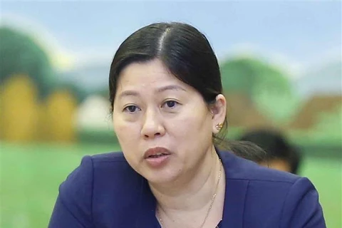 Deputy Secretary of the Party Civil Affairs Committee and Deputy Minister of the Ministry of Natural Resources and Environment Nguyen Thi Phuong Hoa (Photo: VNA)