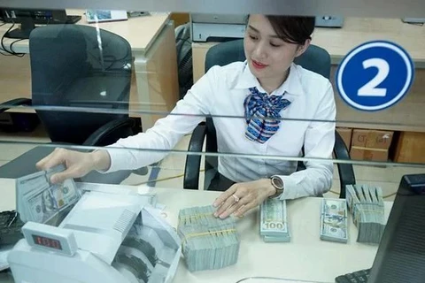 The State Bank of Vietnam sets daily reference exchange rate for the US dollar at 24,260 VND/USD on August 14. (Photo: VNA)