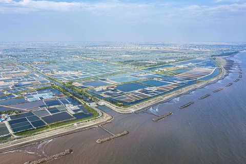 Intensive aquaculture area in Giao Thuy district, Nam Dinh province. (Photo: VNA)