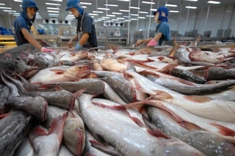 Workers process pangasius for exports (Photo: kinhtenongthon.vn)