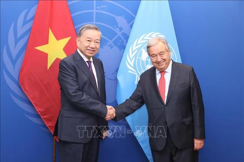 Party General Secretary and President To Lam (L) meets UN Secretary-General António Guterres (Photo: VNA)