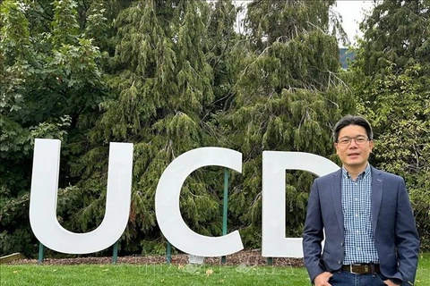 Associate Professor Dr. Tran Le Nam from the School of Electrical and Electronic Engineering under the University College Dublin (Photo: VNA)