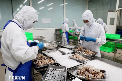 Seafood processing for export at COFIDEC company in Binh Chanh district, Ho Chi Minh City. (Photo: VNA)