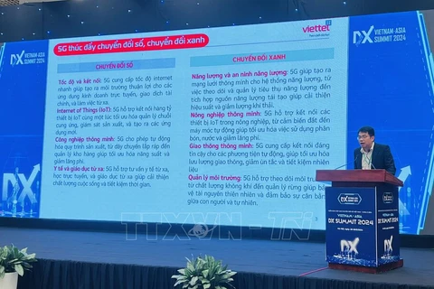 Nguyen Thanh Hai, Director of the centre for network strategy and technology innovation under the Military Industry and Telecoms Group (Viettel), speaks at the seminar. (Photo: VNA)