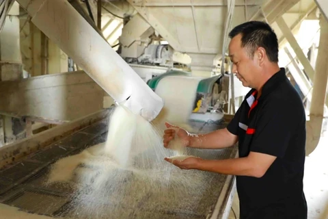 A worker checks the quality of wheat before it is packaged. (Photo: VNA) 