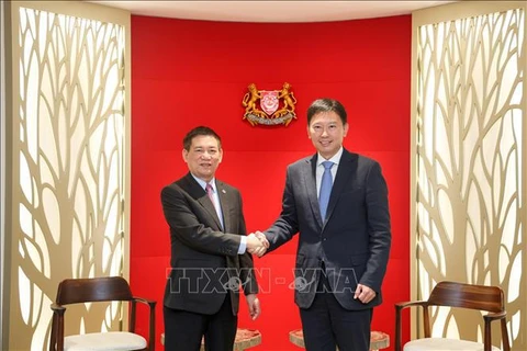 Minister of Finance Ho Duc Phoc (L) and Singaporean Second Minister for Finance Chee Hong Tat at their meeting in Singapore on August 5. (Photo: VNA)