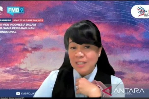 Director general of public information and diplomacy at the Ministry of Foreign Affairs, Siti Nugraha Mauludiah, at an online media briefing on Thursday (August 15, 2024). (Source: ANTARA/Katriana) 