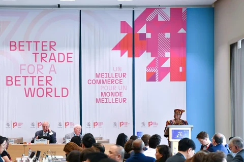 At the WTO Public Forum 2024 (Photo: VNA)