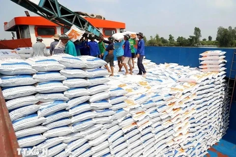 Rice has always accounted for the largest part in Vietnam's export revenues from Cuba. (Photo: VNA)