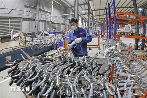 Bicycle production at Thong Nhat corporation (Photo: VNA).