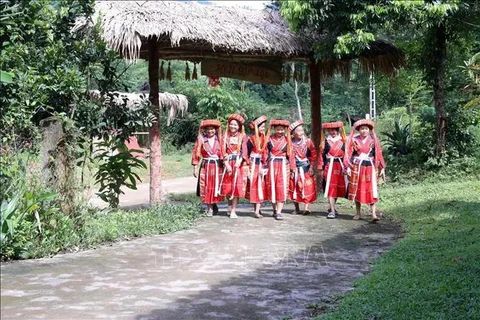 A group of Pa Then women in Tuyen Quang province wearing their traditional costume (Photo: VNA)