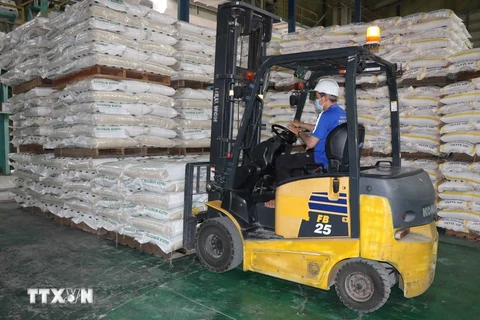 Customs data show that in the first half of November alone, the country exported 293,484 tonnes of rice. (Photo: VNA)