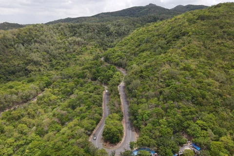 Vietnam logra doble resultado en la lucha contra la desertificación