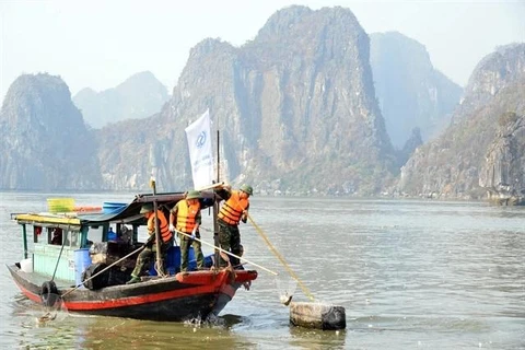 Oficiales militares participan en la limpieza de los desechos y la basura que el tifón Yagi arrojó a la bahía de Ha Long. La campaña de limpieza, de tres días de duración, comenzó el 15 de septiembre. (Foto: VNA)