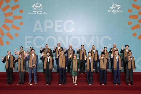 El presidente vietnamita, Luong Cuong, y otros líderes en la 31ª Reunión de Líderes Económicos de la APEC en Lima, Perú. (Foto: VNA)