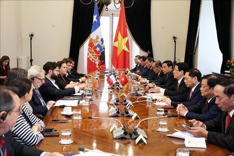 El presidente Luong Cuong y su homólogo chileno Gabriel Boric Font mantienen conversaciones. (Foto: VNA)