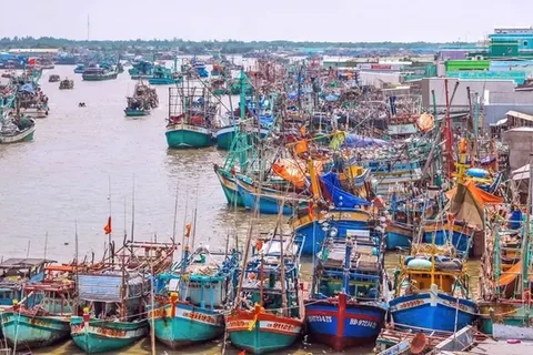 Bateaux de pêche hauturière au port maritime du bourg de Sông Dôc, district de Trân Van Thoi, province de Ca Mau. Photo: VNA