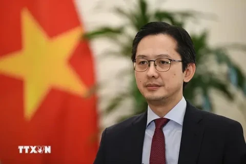 Le vice-ministre des Affaires étrangères Dô Hung Viêt. Photo: VNA