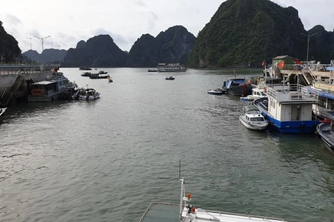 Le quai fluvial dans la zone de services de luxe de Bên Doan, quartier de Hông Gai. Photo: laodong.vn