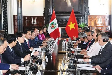 Le président Luong Cuong s'entretient avec son homologue péruvienne, Dina Ercilia Boluarte Zegarra. Photo: VNA