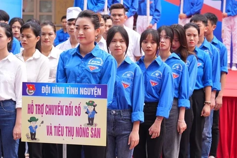 Bac Giang improves effectiveness of community digital technology teams