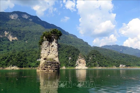 越南宣光省注重保护生物多样性和稀有动物