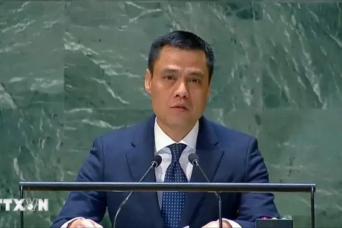 Ambassador Dang Hoang Giang, Vietnam's Permanent Representative to the UN. (Photo: VNA)