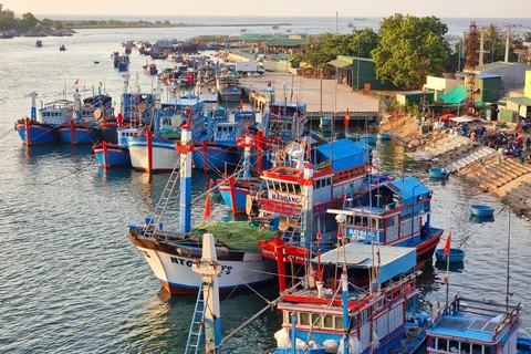 All of the fishing boats in Ninh Thuan province have sufficient documents proving their seaworthiness. (Photo: VNA)