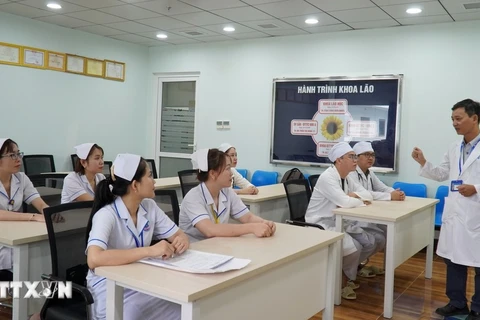 Vietnam aims to bring 200 hospital orderlies to Japan in the next three years. (Photo: VNA)