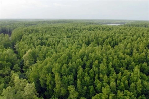 The Mangrove Biosphere Reserve in the coastal district of Can Gio. (Photo: VNA)