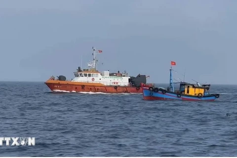 Authorities inspect operations of fishing vessels at sea (Photo: VNA)