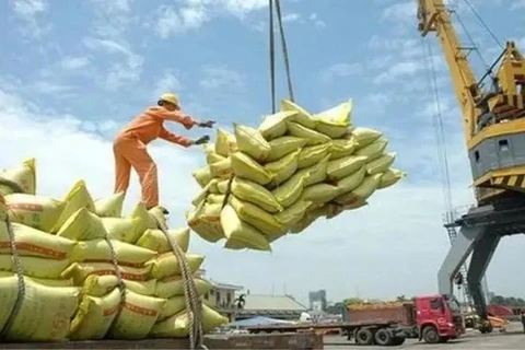 Vietnam exports 4.68 million tonnes of rice in the first six months of this year, earning 2.98 billion USD (Photo: sggp.org.vn)