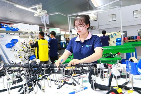 Production at HanYang Electronic Vietnam Co., Ltd. (Photo: laodong.vn)