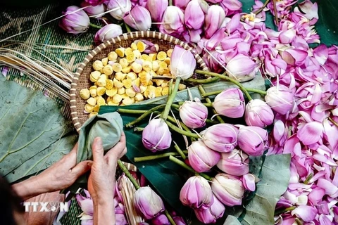 Hanoi's lotus-marinated tea is a famous product of the capital city (Photo: VNA)