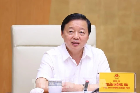 Deputy Prime Minister Tran Hong Ha speaks at the meeting (Photo: VNA)